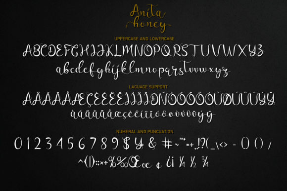 Anita Honey Font Poster 8