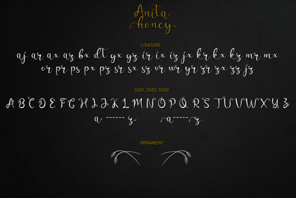 Anita Honey Font Poster 9