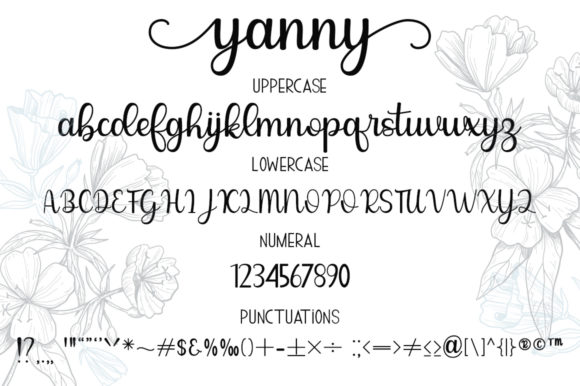Anna Yanny Font Poster 4