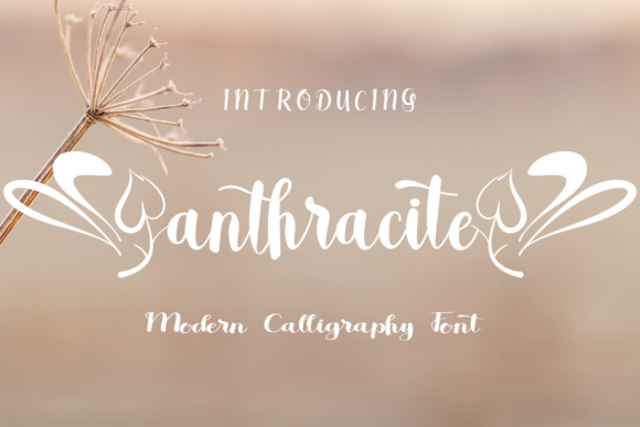 Anthracite Font