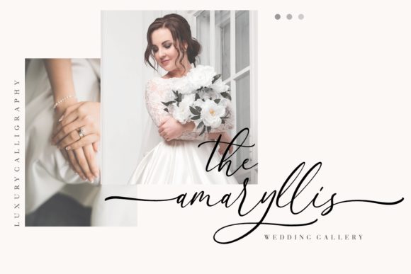 Anttelope Font Poster 4