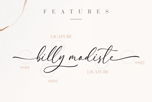 Anttelope Font Poster 6