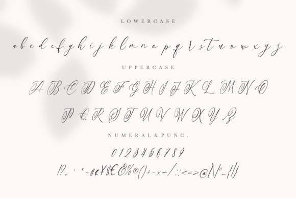 Anttelope Font Poster 8