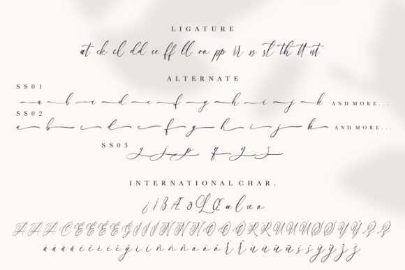 Anttelope Font Poster 9