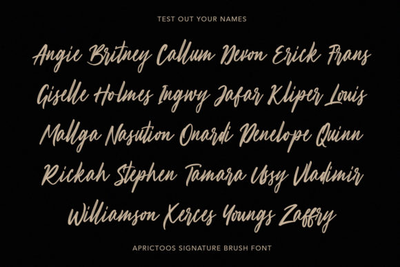 Aprictoos Font Poster 12