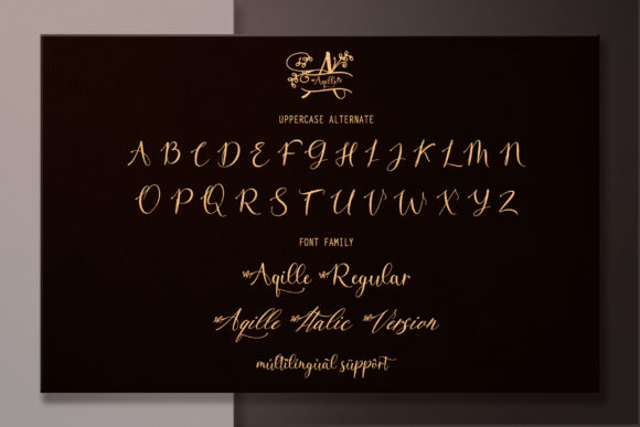 Aqille Font Poster 11