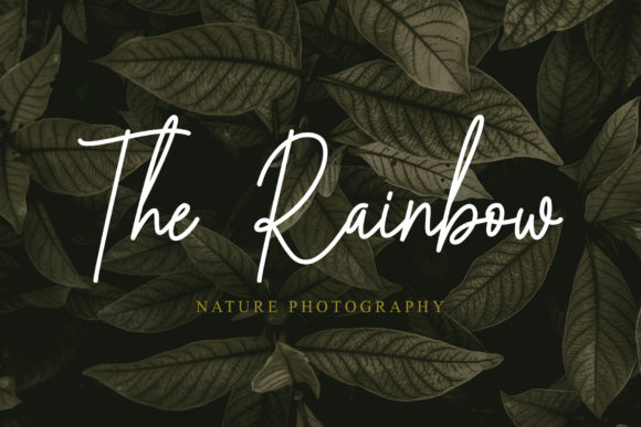 Arabellia Signature Font Poster 9