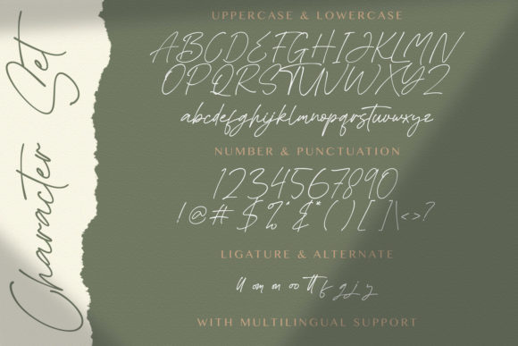 Asthacy Reny Font Poster 14