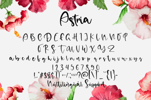 Astria Font Poster 6