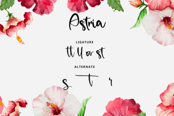 Astria Font Poster 7
