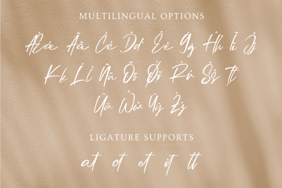 Atelier Font Poster 11