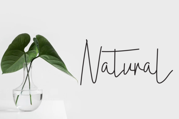 Athalia Beauty Font Poster 2