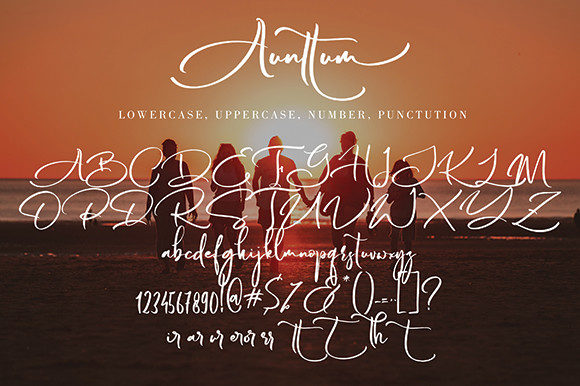 Aunttum Font Poster 11