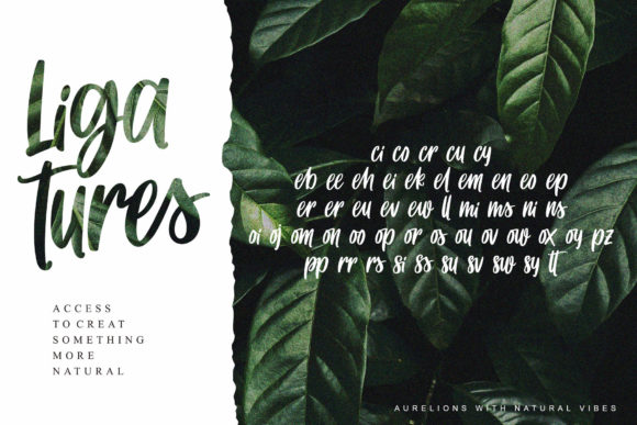 Aurelions Font Poster 7