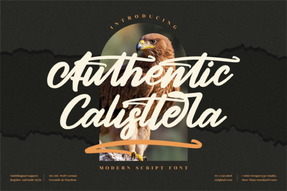 Authentic Calisttera Font Poster 1
