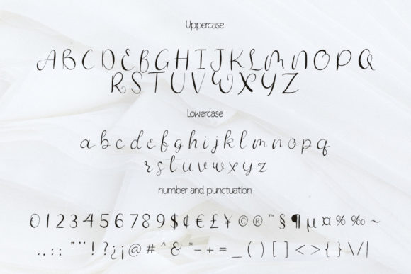 Authurium Font Poster 5