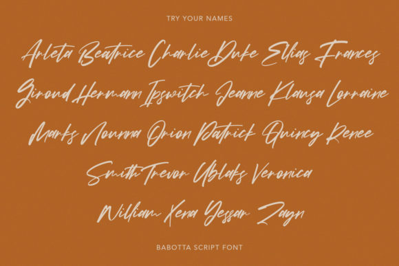 Babotta Font Poster 11