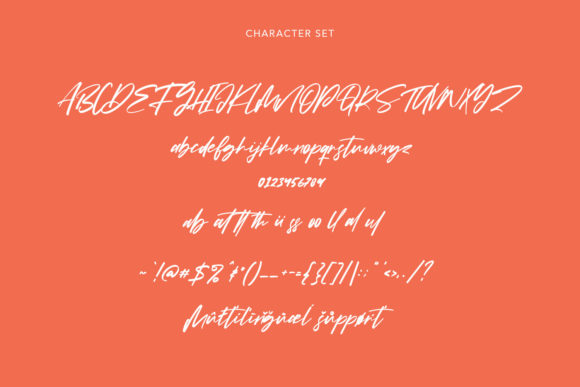 Babotta Font Poster 10