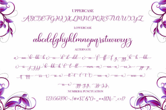 Baby Angelonia Font Poster 11