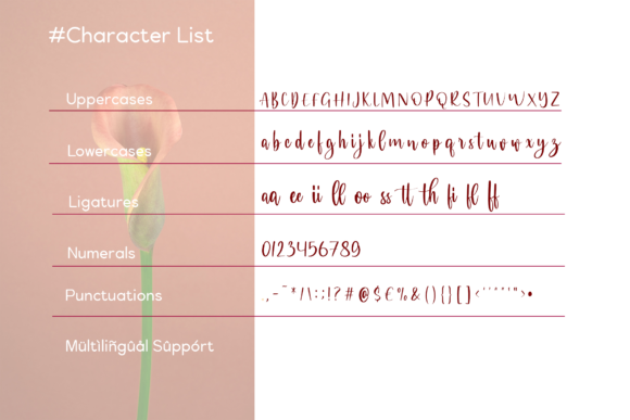Baby Bday Font Poster 12