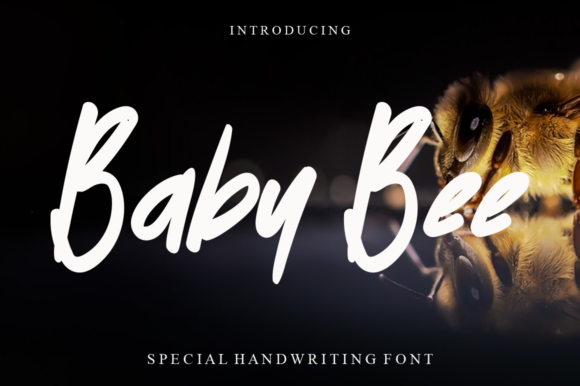 Baby Bee Font Poster 1