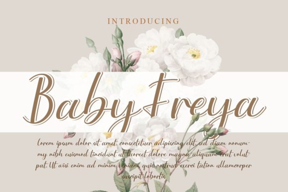 Baby Freya Font Poster 1