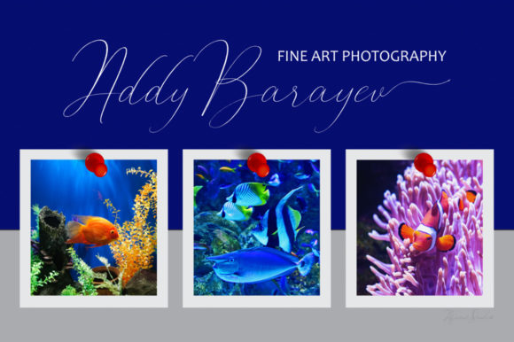 Baby Whale Font Poster 9