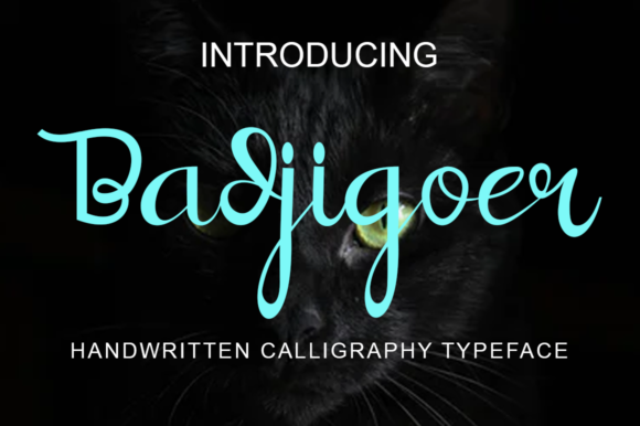 Badjigoer Font