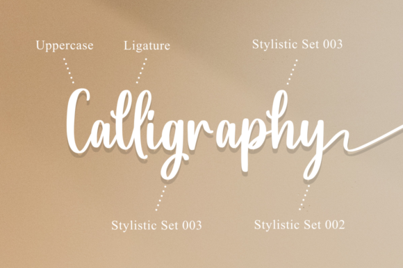 Baishy Font Poster 8