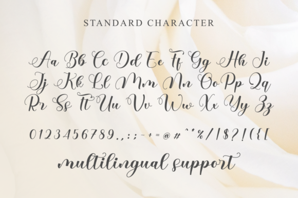 Baley Font Poster 8