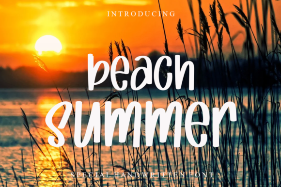 Beach Summer Font Beach Summer Font Poster 1