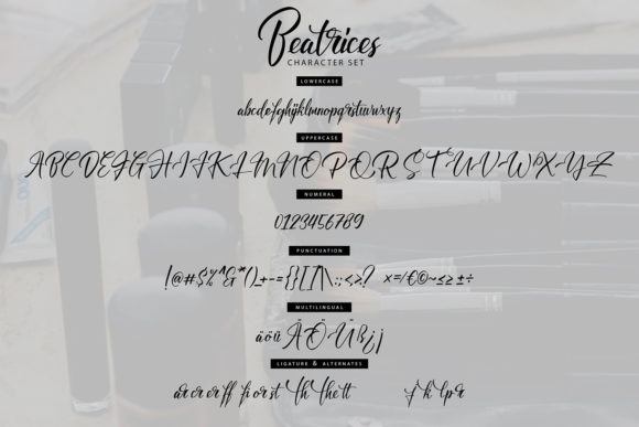 Beatrices Font Poster 6