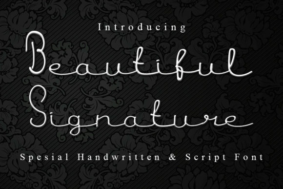 Beautiful Signature Font