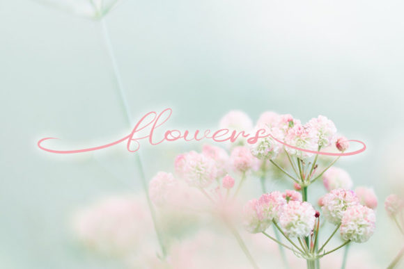Beauty Font Poster 2