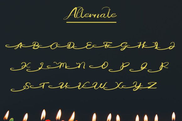 Beauty Font Poster 8