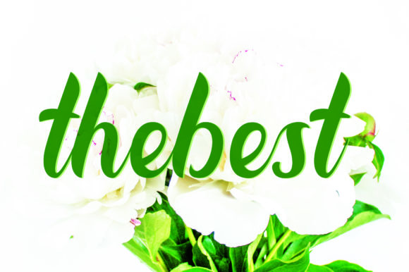 Beauty Font Poster 3