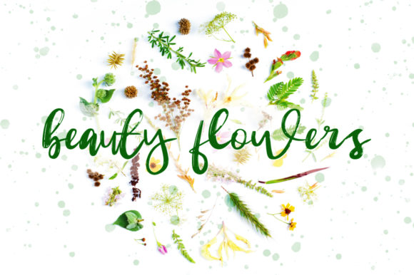Beauty Flowers Font Poster 1