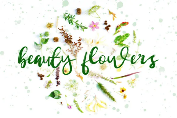 Beauty Flowers Font Beauty Flowers Font Poster 1