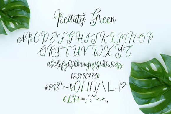 Beauty Green Font Poster 5