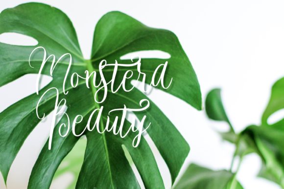 Beauty Green Font Poster 7