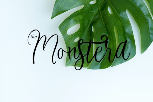 Beauty Green Font Poster 8