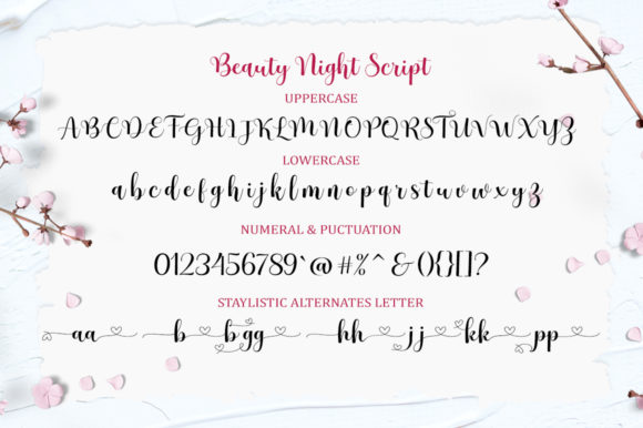Beauty Night Font Poster 5