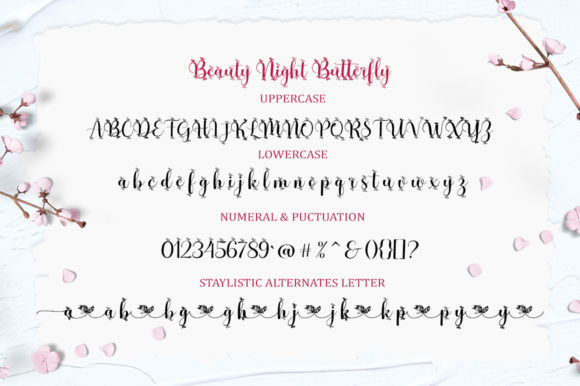 Beauty Night Font Poster 6