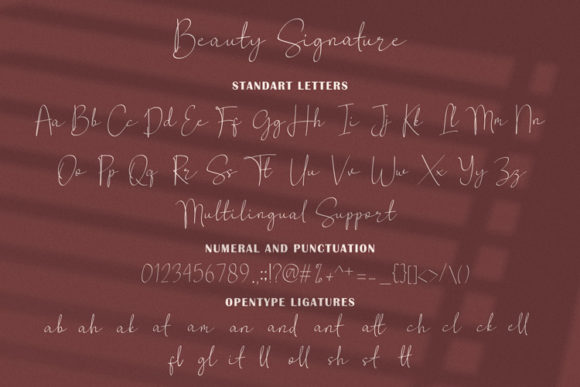Beauty Signature Font Poster 9