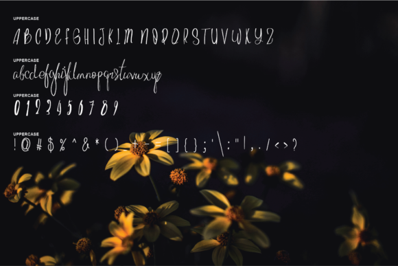 Beautye Flowers Font Poster 2