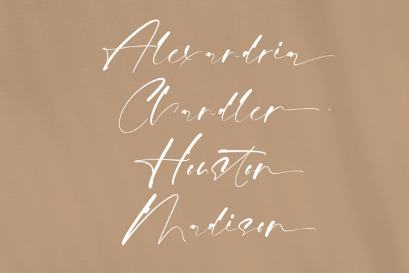 Begins Font Poster 14