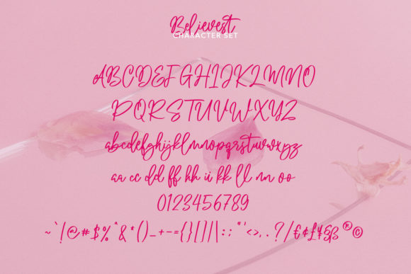 Believest Script Font Poster 8