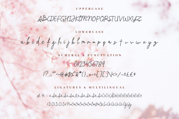 Beliya Font Poster 6