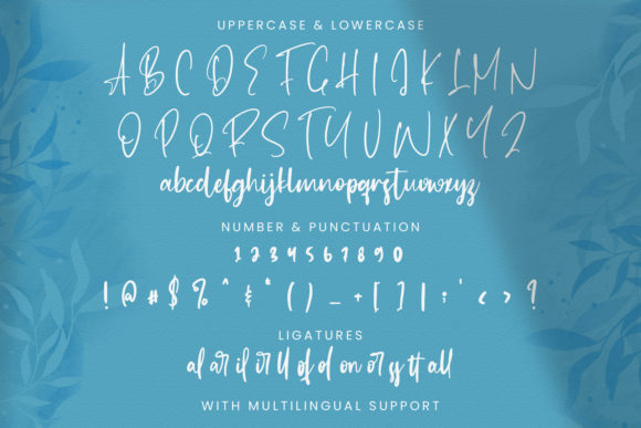 Bella Pilatry Font Poster 14