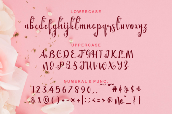 Bellami Font Poster 4
